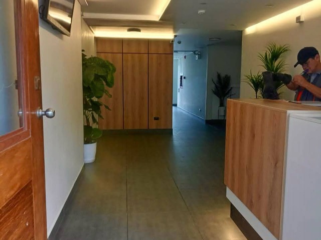 #DPTO-AV BR - Departamento para Venta en Lima - LIM - 1